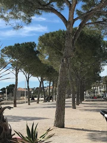 La Ciotat : Superbe Appartement Proche Du Port Buitenkant foto